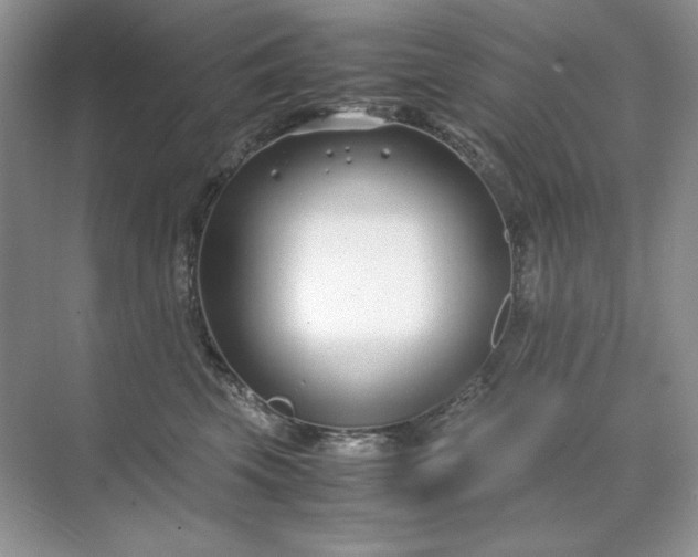 X0000071970569200607212321