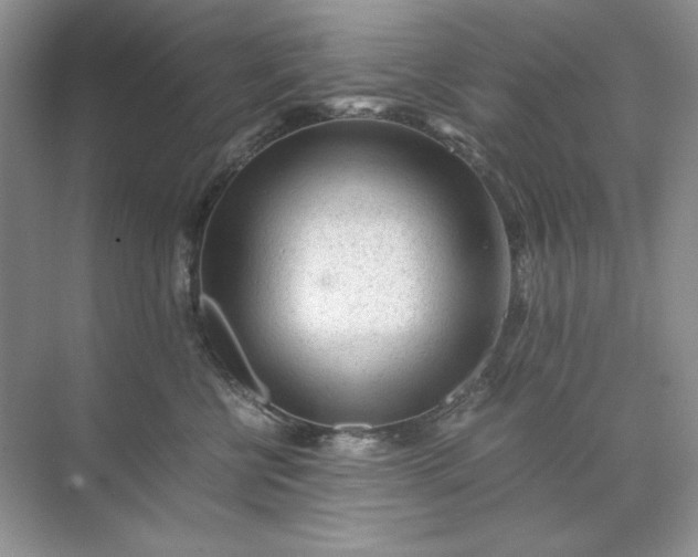 X0000071970570200607212321