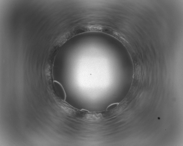 X0000071970571200607212321