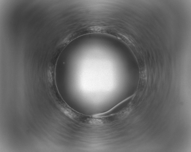 X0000071970572200607212321