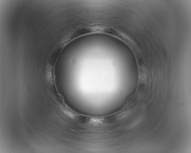 X0000071970573200607212321