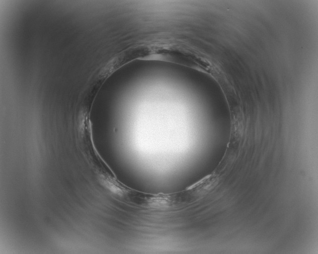 X0000071970574200607212321