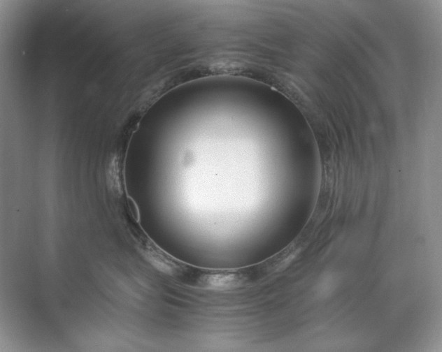 X0000071970575200607212321