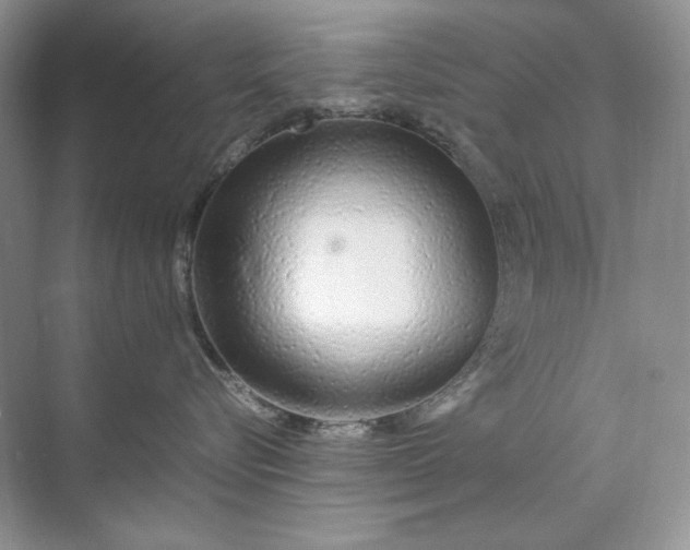 X0000071970576200607212321