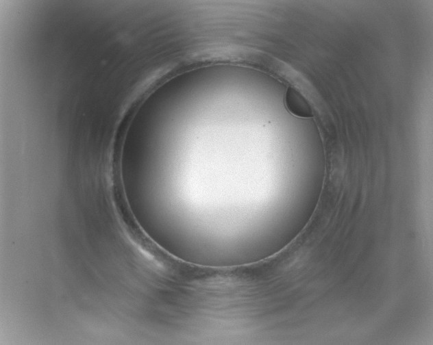 X0000071970578200607212320