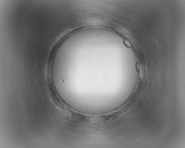 X0000071970579200607212320