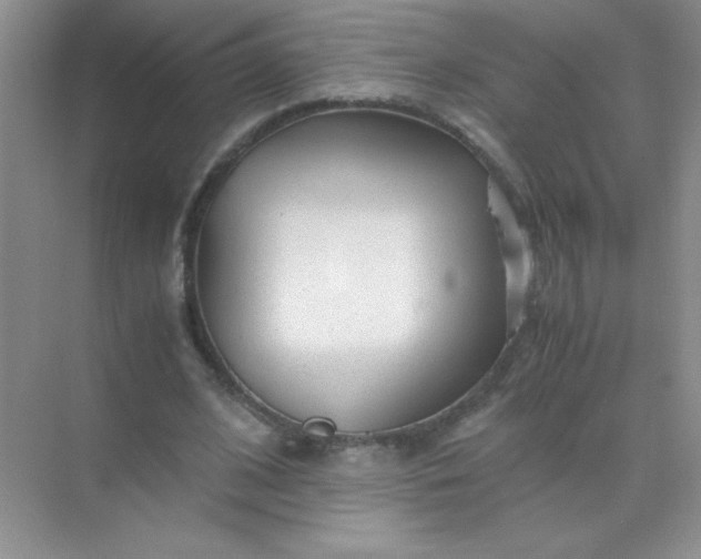 X0000071970584200607212320