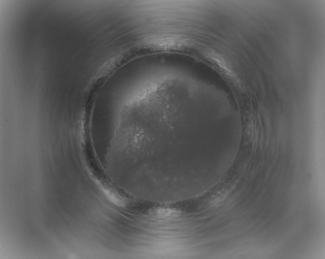 X0000071970590200607212320