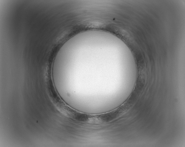 X0000071970591200607212320