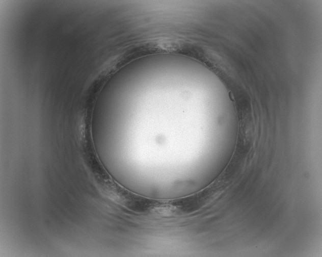 X0000071970595200607212320