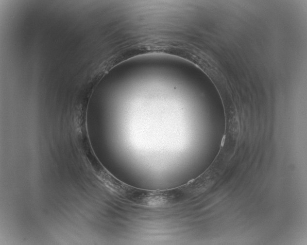 X0000071970604200607212320