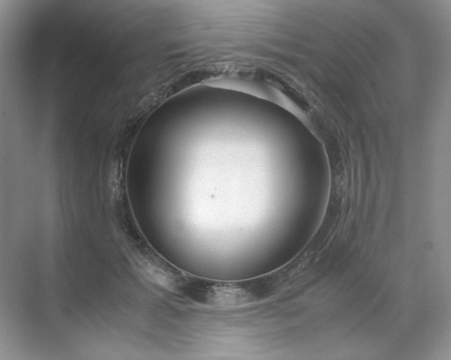 X0000071970605200607212320