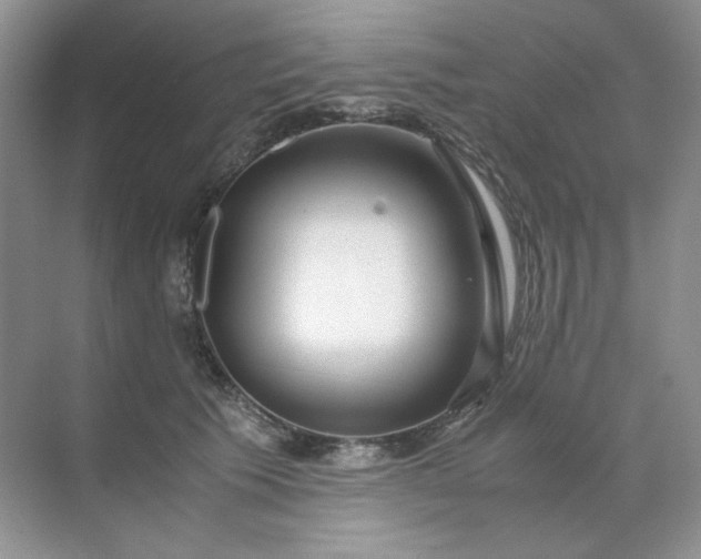 X0000071970609200607212320