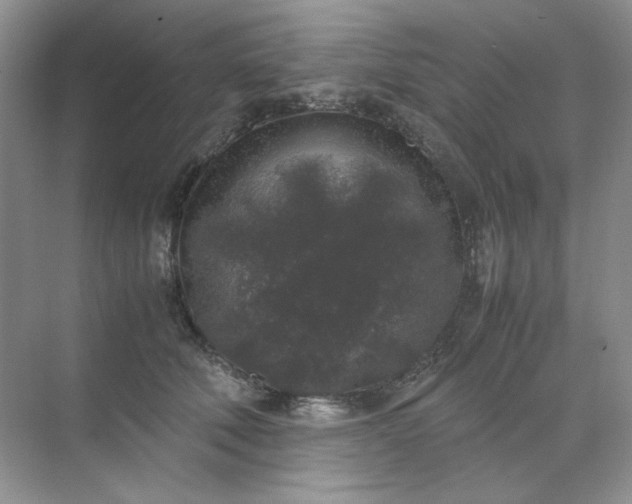 X0000071970610200607212320