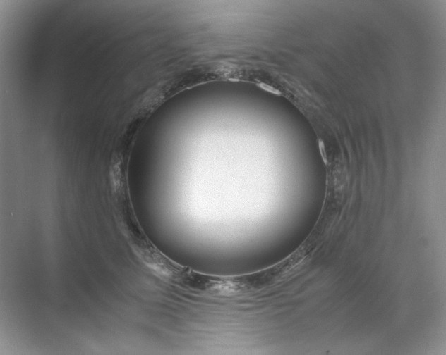 X0000071970611200607212320