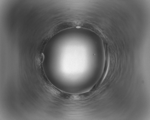 X0000071970613200607212320