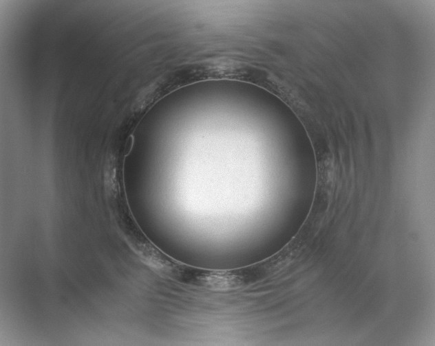 X0000071970615200607212320