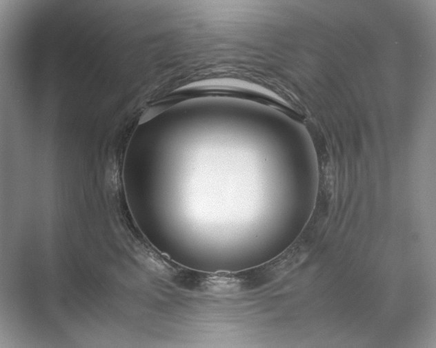 X0000071970617200607212320