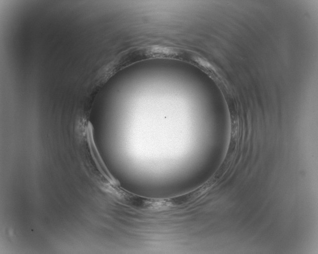 X0000071970621200607212320