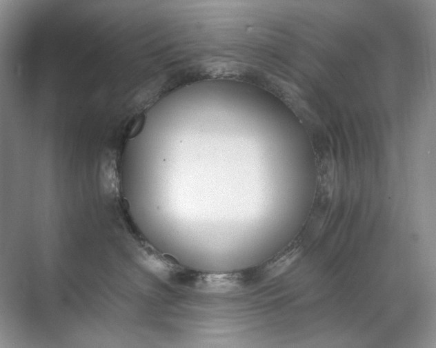 X0000071970622200607212320