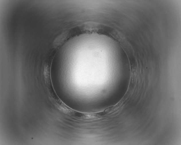 X0000071970623200607212320