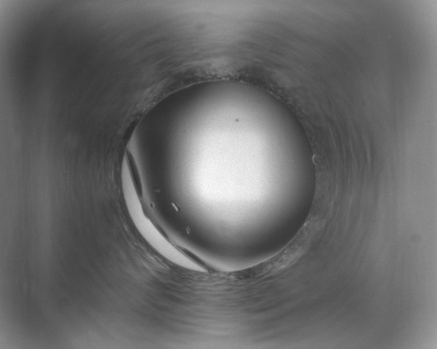 X0000071970624200607212320