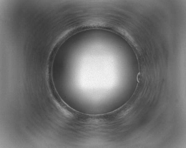 X0000071970629200607212319
