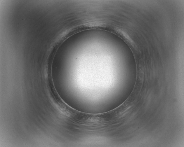 X0000071970631200607212319