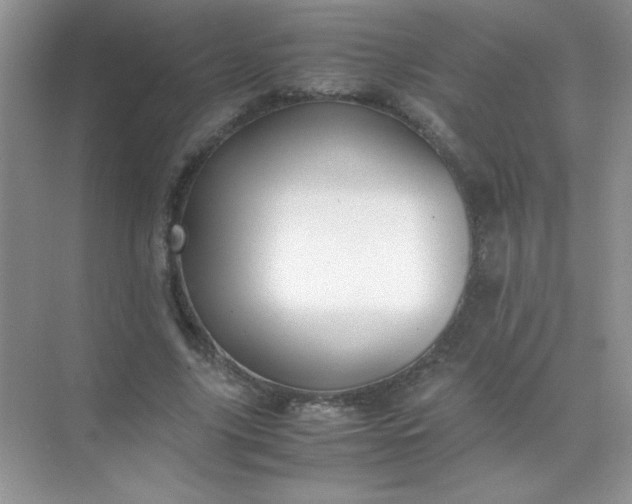 X0000071970635200607212319