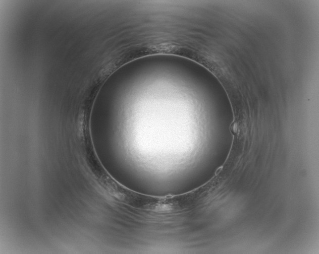 X0000071970647200607212319