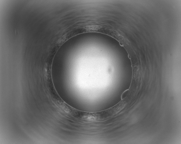 X0000071970655200607212319
