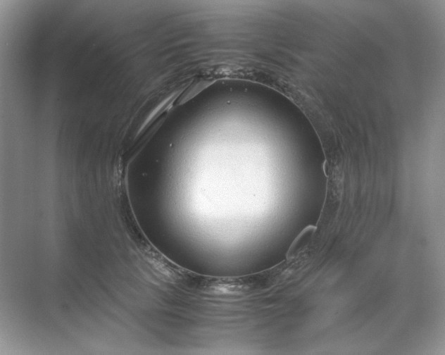 X0000071970657200607212319