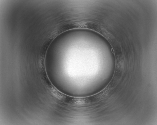 X0000071970658200607212319