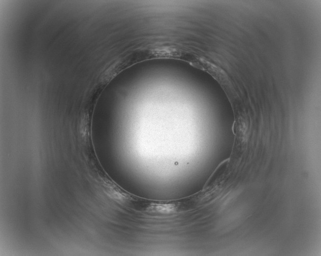 X0000071970665200607212319