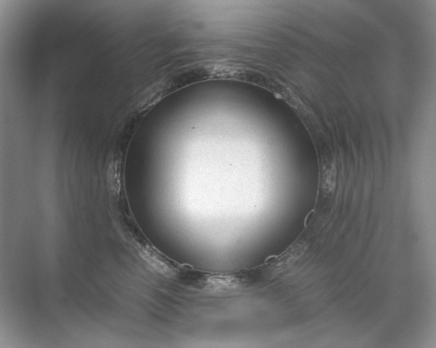 X0000071970666200607212319