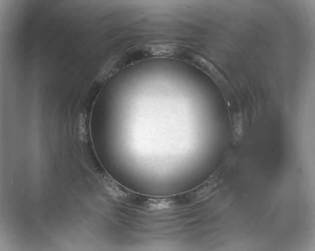 X0000071970667200607212319