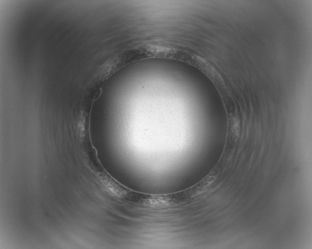 X0000071970668200607212319