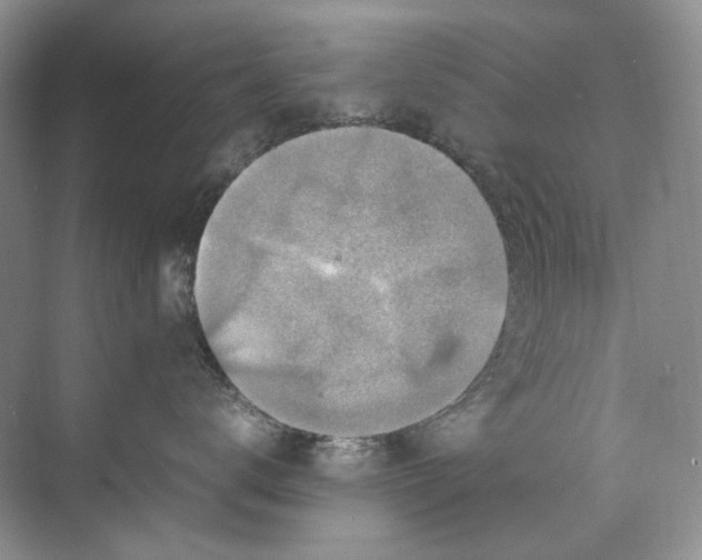 X0000071970672200607212320