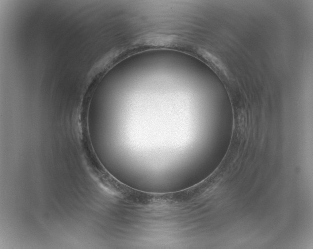 X0000071970682200607212319