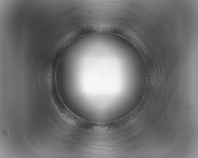 X0000071970690200607212318