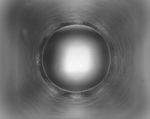 X0000071970693200607212318