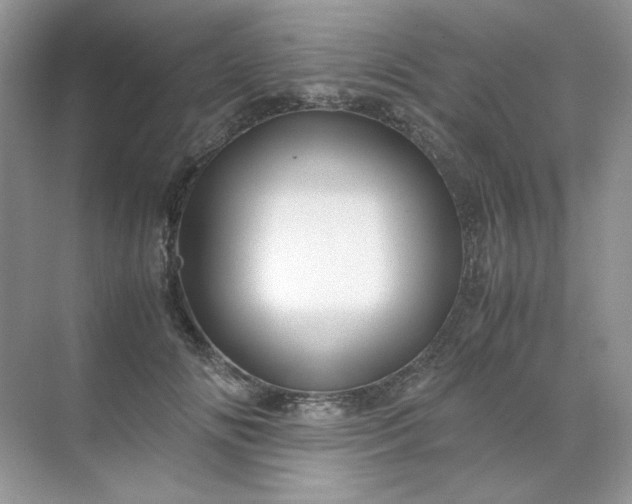 X0000071970702200607212318