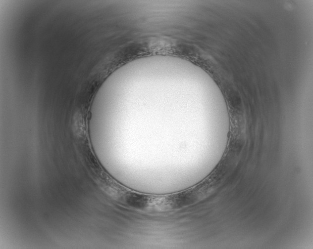 X0000071970705200607212318