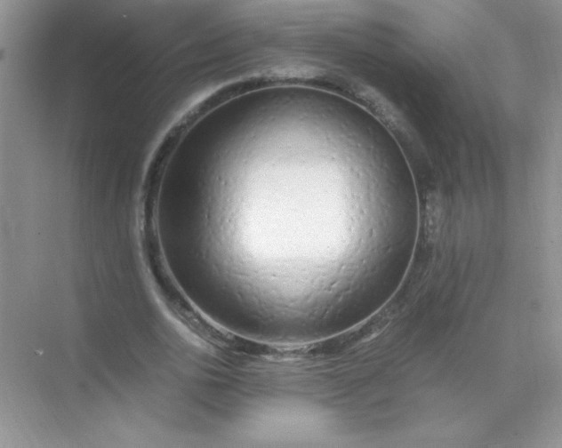 X0000071970726200607212317