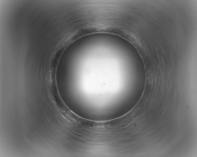 X0000071970740200607212317