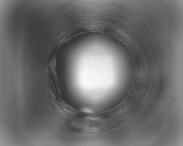 X0000071970749200607212318