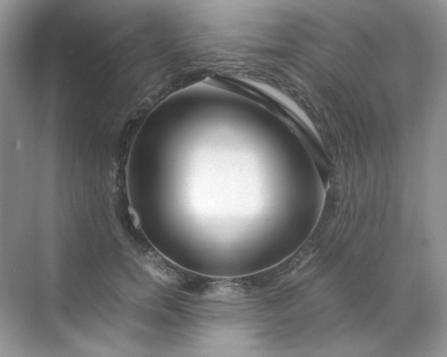 X0000071970750200607212318