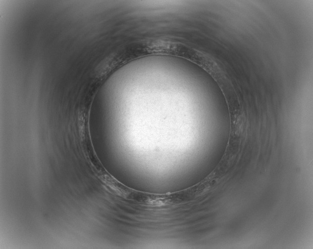 X0000071970753200607212318