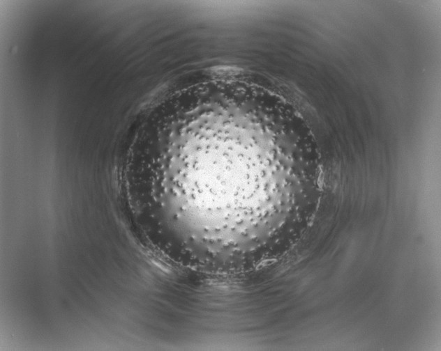 X0000071970763200607212318