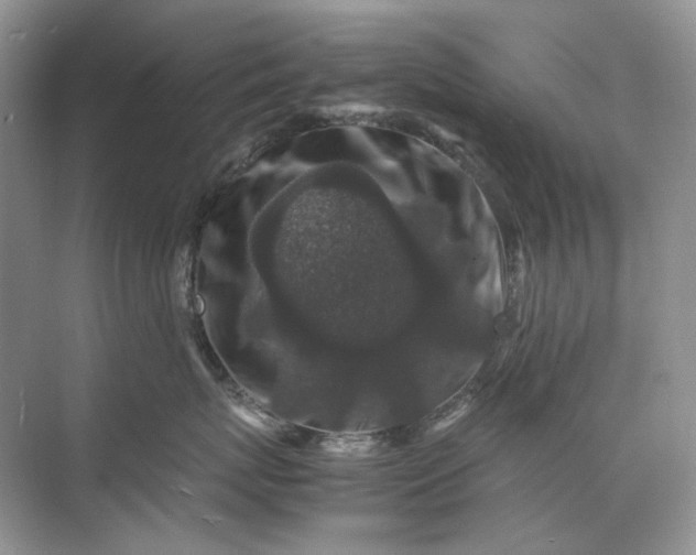 X0000071970767200607212318